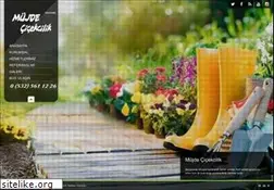 Sites similar to mujdecicekcilik.com