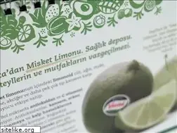 Sites similar to mukreminsecim.com