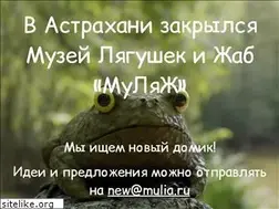 Sites similar to mulia.ru