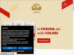 Sites similar to mulinocaputo.it