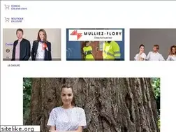 Sites similar to mulliez-flory.fr