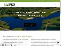 Sites similar to mulliganinternational.com