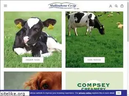 Sites similar to mullinahonecoop.ie