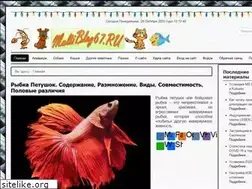 Sites similar to multiblog67.ru