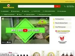 Sites similar to mulyocreative.com
