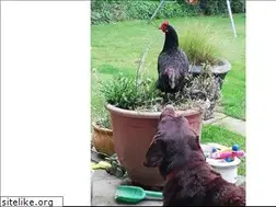 Sites similar to mummyanddaddy.com