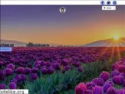 Sites similar to munchiedude.com