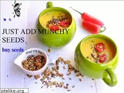 Sites similar to munchyseeds.co.uk
