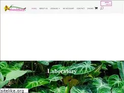 Sites similar to mundiflora.com