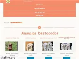 Sites similar to mundimascota.co