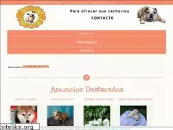 Sites similar to mundimascota.com.mx