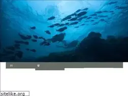 Sites similar to mundoacuatico.cr