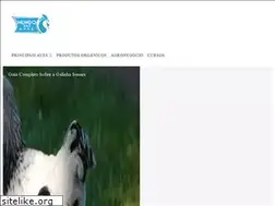 Sites similar to mundodasaves.com