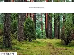 Sites similar to mundurharcerski.pl