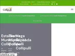 Sites similar to municipalidadcollipulli.cl