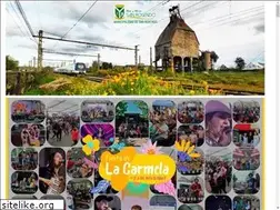 Sites similar to municipalidadsanrosendo.cl