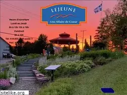 Sites similar to municipalitelejeune.com