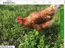 Sites similar to munouyaku.shop