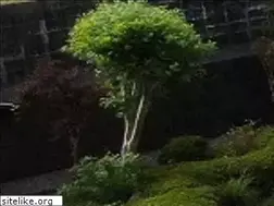 Sites similar to muratakk.co.jp