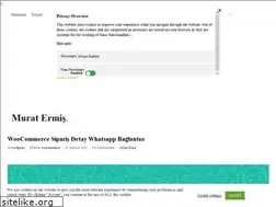 Sites similar to muratermis.com.tr