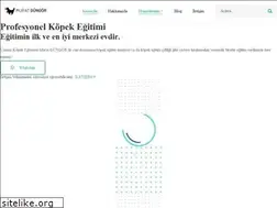 Sites similar to muratgungork9.com