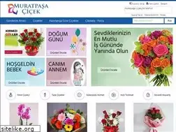 Sites similar to muratpasacicek.com