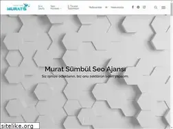Sites similar to muratsumbul.com.tr