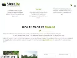 Sites similar to muri.ro