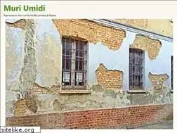 Sites similar to muriumidi.info