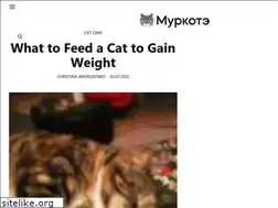 Sites similar to murkote.com