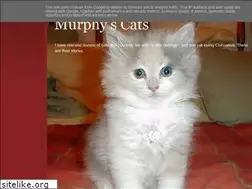 Sites similar to murphyscats.blogspot.com