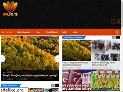 Sites similar to mus.gen.tr