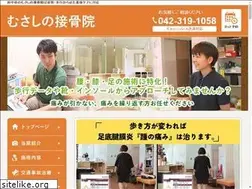 Sites similar to musashino-sekkotsuin.com