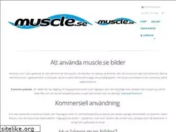 Sites similar to muscle.se