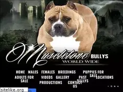 Sites similar to muscletonebullys.com