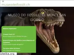 Sites similar to museodeifossili.ch