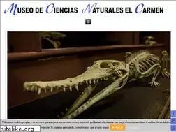 Sites similar to museodelcarmen.com