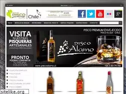 Sites similar to museodelpisco.cl