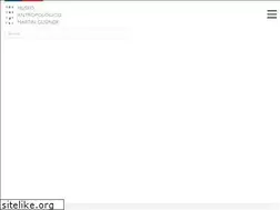 Sites similar to museomartingusinde.cl
