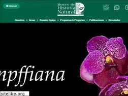 Sites similar to museonoelkempff.org