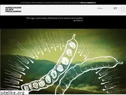 Sites similar to museoprecolombino.cl
