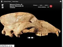 Sites similar to museostorianaturaletrieste.it