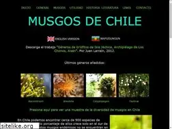 Sites similar to musgosdechile.cl
