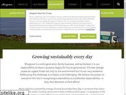 Sites similar to musgravesustainability.com
