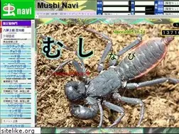 Sites similar to mushinavi.com