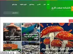 Sites similar to mushroom.news