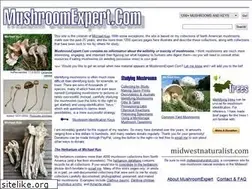 Sites similar to mushroomexpert.com