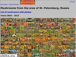Sites similar to mushrooms.su