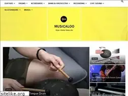 Sites similar to musicaloo.com