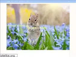 Sites similar to musictree-piano.net